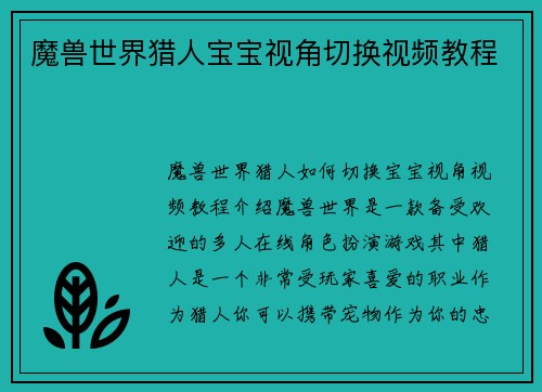 魔兽世界猎人宝宝视角切换视频教程